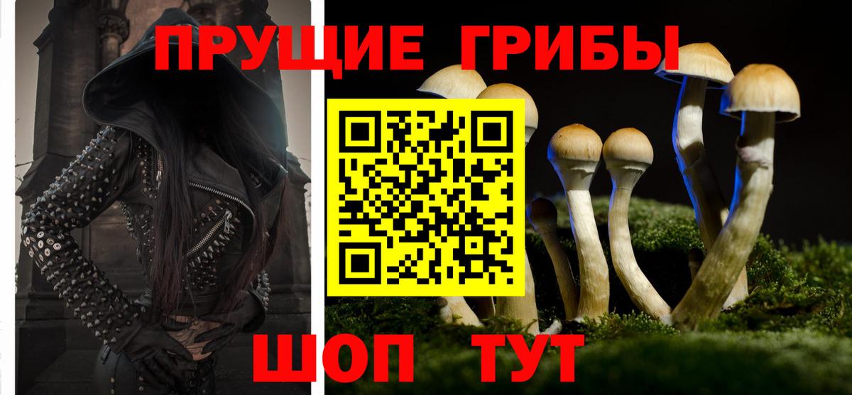 Галлюциногенные грибы Cubensis  наркота  Севастополь  Вход с VPN 