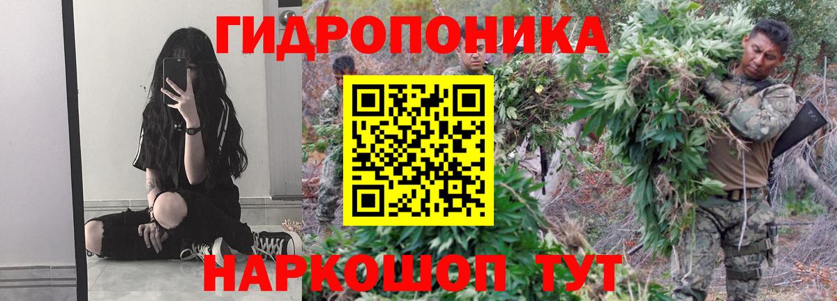 Канабис план  Вход с VPN  Каннабис марихуана  Севастополь  Канабис VHQ 